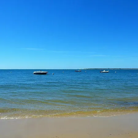 Lägenhet Arcachon, 2 Pieces, 2 Personnes - Fr-1-420-43 Arcachon