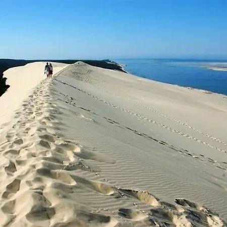 Lägenhet Arcachon, 2 Pieces, 2 Personnes - Fr-1-420-43